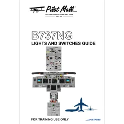 Complete Lights and Switches Guide for Cockpit Familiarization
