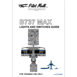 Complete Lights and Switches Guide for Cockpit Familiarization