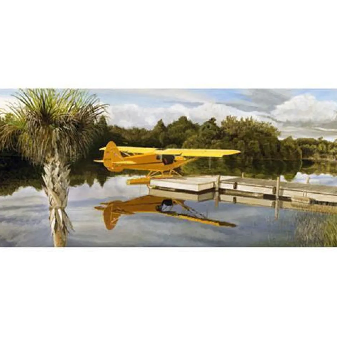 Cub at Quail Creek Lyons Studios Limited Edition Aviation Print