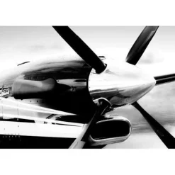 King Air 250 Steven Greenwald Black & White Aviation Art Print