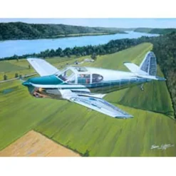 Lee Bottom Bird Lyons Studios Limited Edition Aviation Print