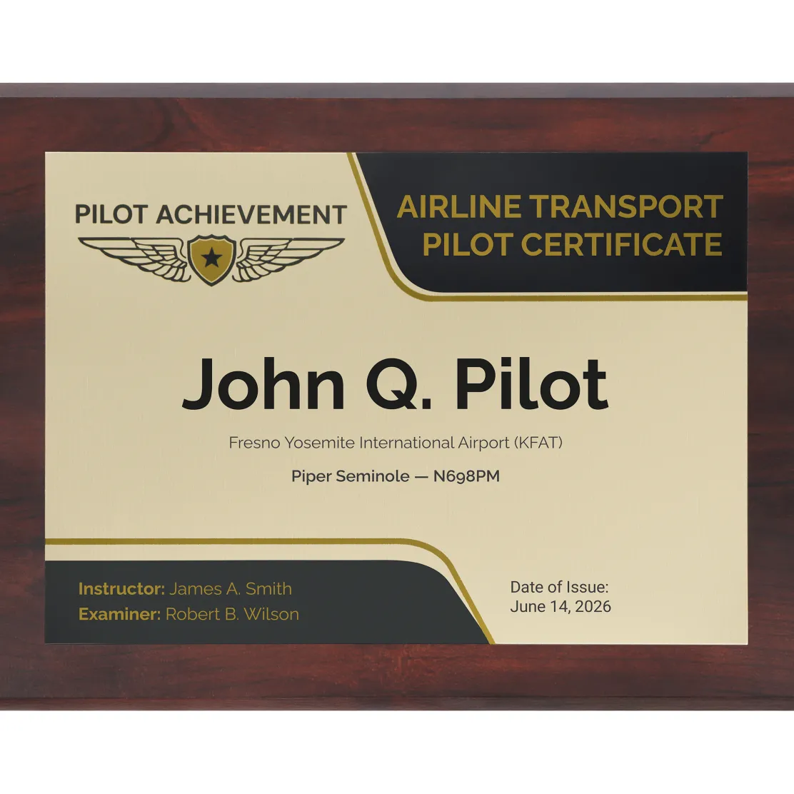 Personalized Airline Transport Pilot Wings Achievement 9 x 12 Plaque