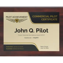 Personalized Commercial Pilot Wings Achievement 9 x 12 Plaque