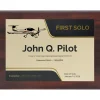 Personalized First Solo Flight Diamond DA20 Achievement 9 x 12 Plaque