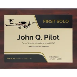 Personalized First Solo Flight Diamond DA20 Achievement 9 x 12 Plaque