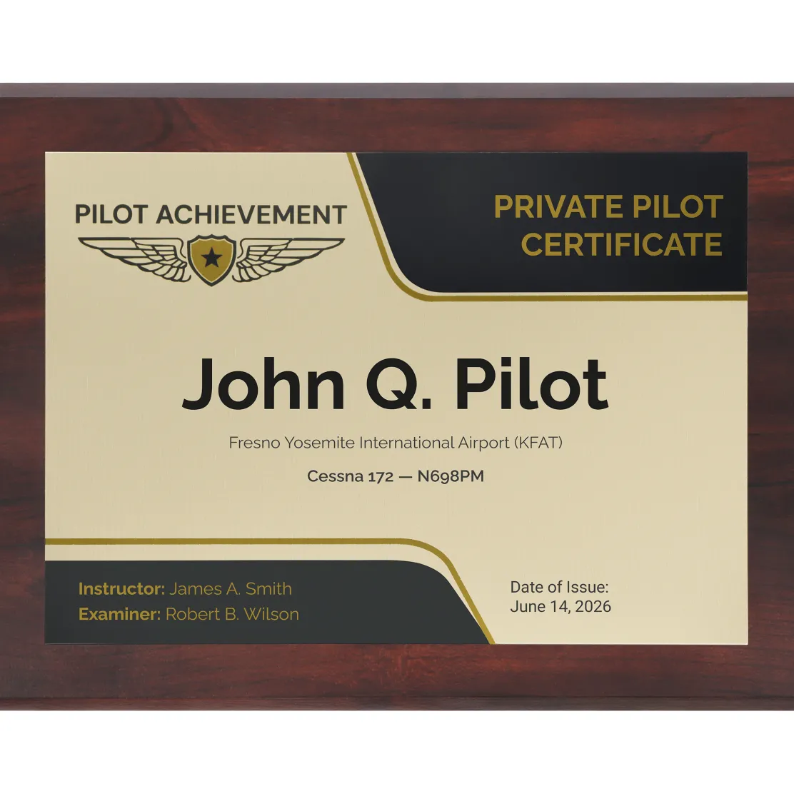 Personalized Private Pilot Wings Achievement 9 x 12 Plaque