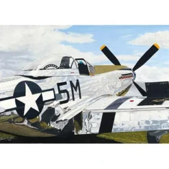 Shining Stallion Lyons Studios Limited Edition Aviation Print