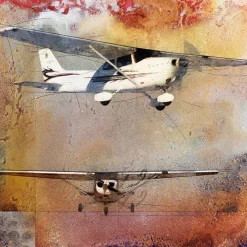 The Cessna 172 No. 1 Frank Martin Aviation Art Print